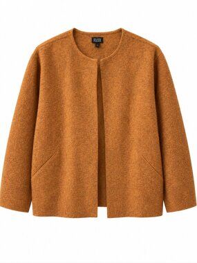Eileen Fisher Boiled Wool Open Front Jacket Rust Orange Minimalist Boxy Coat L